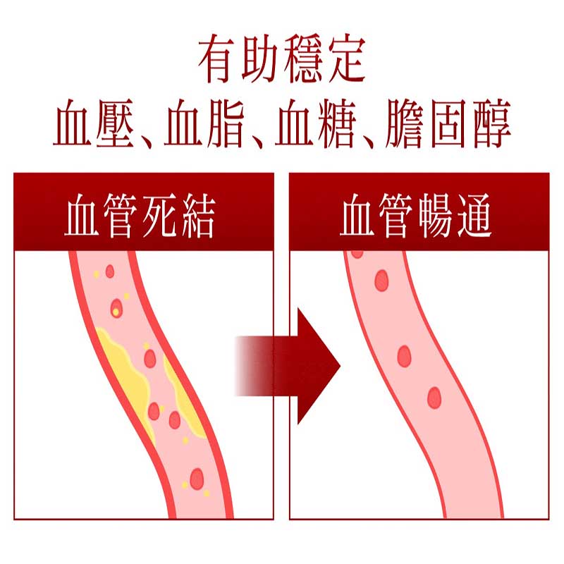 Return 回本 - 分解死結の配方(強心血管配方) 60粒 增加血管彈性，促進血液循環 減少脂肪及澱粉質吸收 有效溶解血管廢物及毒素 有抗氧化功效，保護心血管 減少血管破壞，有效改善三高問題